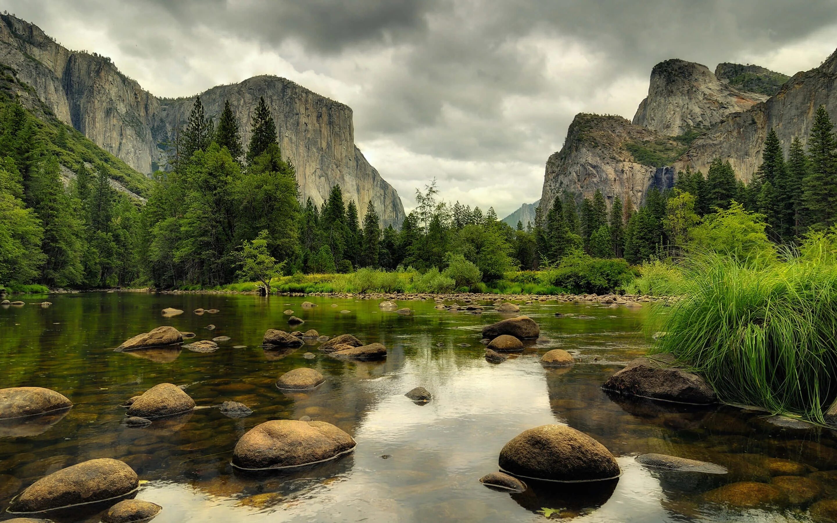 Картинки на телефон фото природы 100+ Pretty Nature Pictures Wallpapers.com
