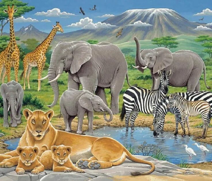 Картинки на тему животный мир At the watering hole Jungle animals pictures, African animals, Wild animal wallp