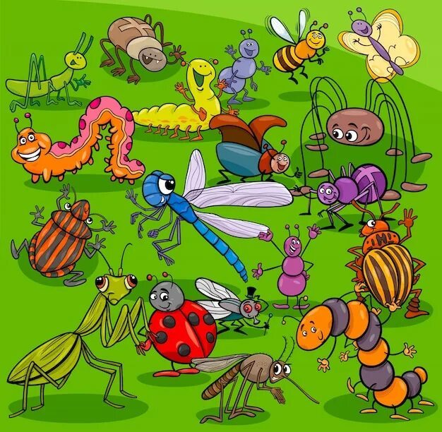 Картинки насекомые животные для детей Page 3 Grasshoppers Vectors & Illustrations for Free Download Freepik