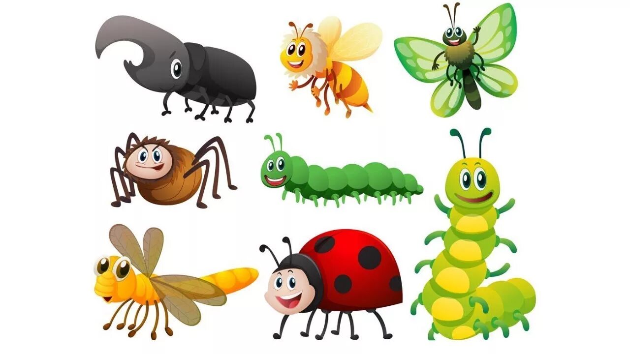 Картинки насекомые животные для детей Insects for children - animals for kids, learn animals with beetles, insects for