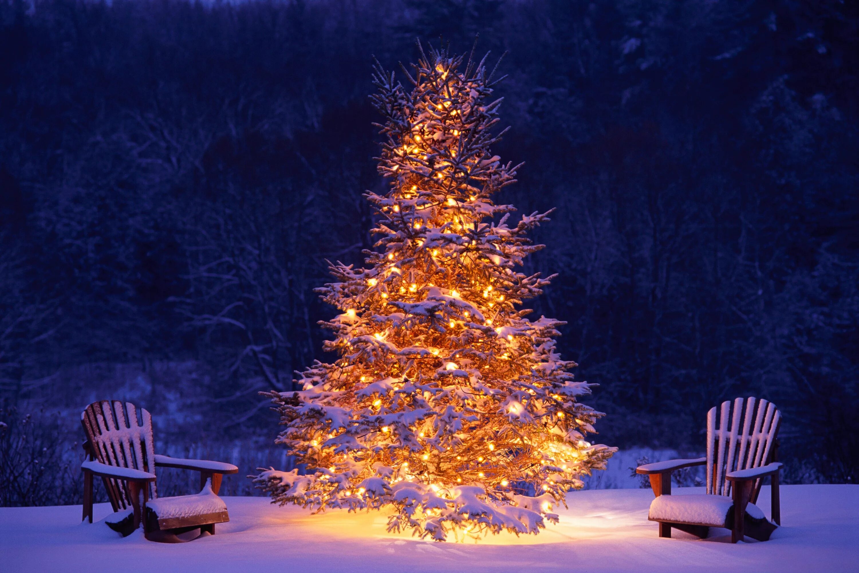 Картинки новый год 18 Winter Wonderland: snowy winter scenes & Christmas trees. Christmas desktop, Chr
