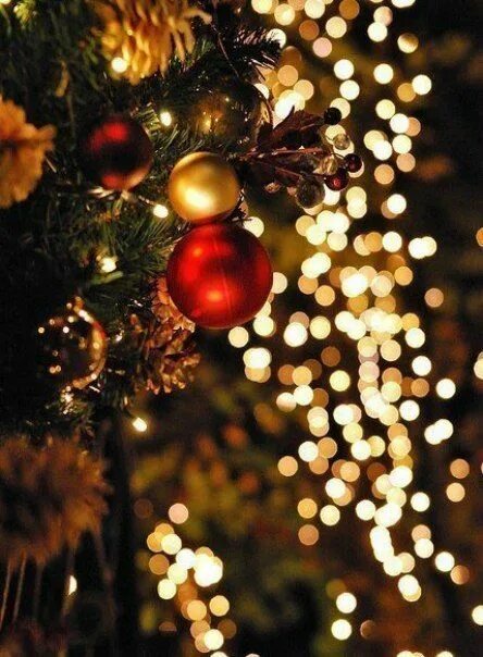 Картинки новый год качество Регина Петросова. Запись со стены. Christmas wallpaper, Christmas, Christmas lig