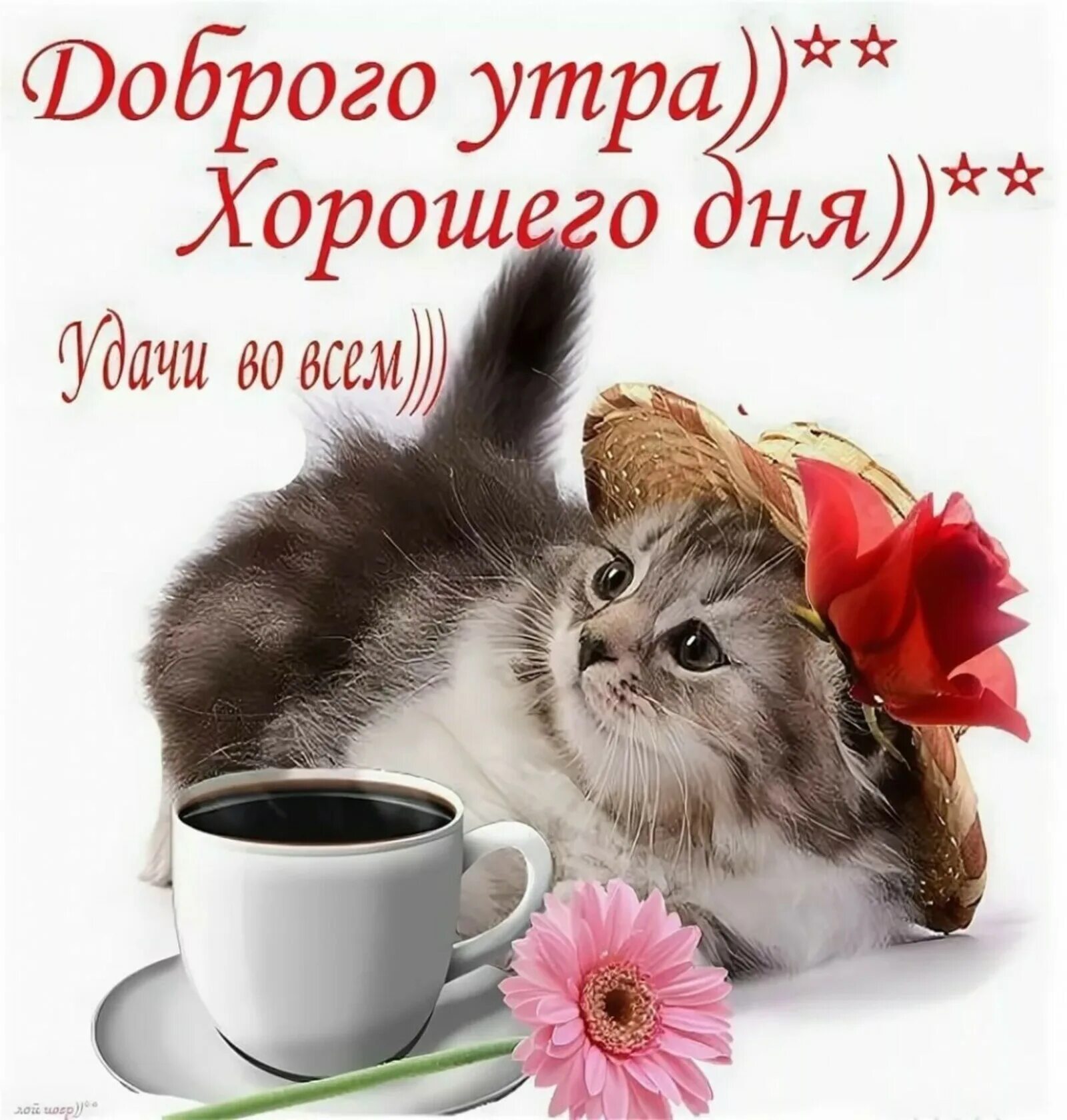 Картинки очень доброе утро хорошего дня Доброго утра, xорошего дня!