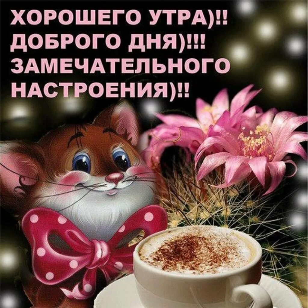 Картинки очень доброе утро хорошего дня Доброе прекрасное утро и замечательного дня - 85 фото - смотреть онлайн