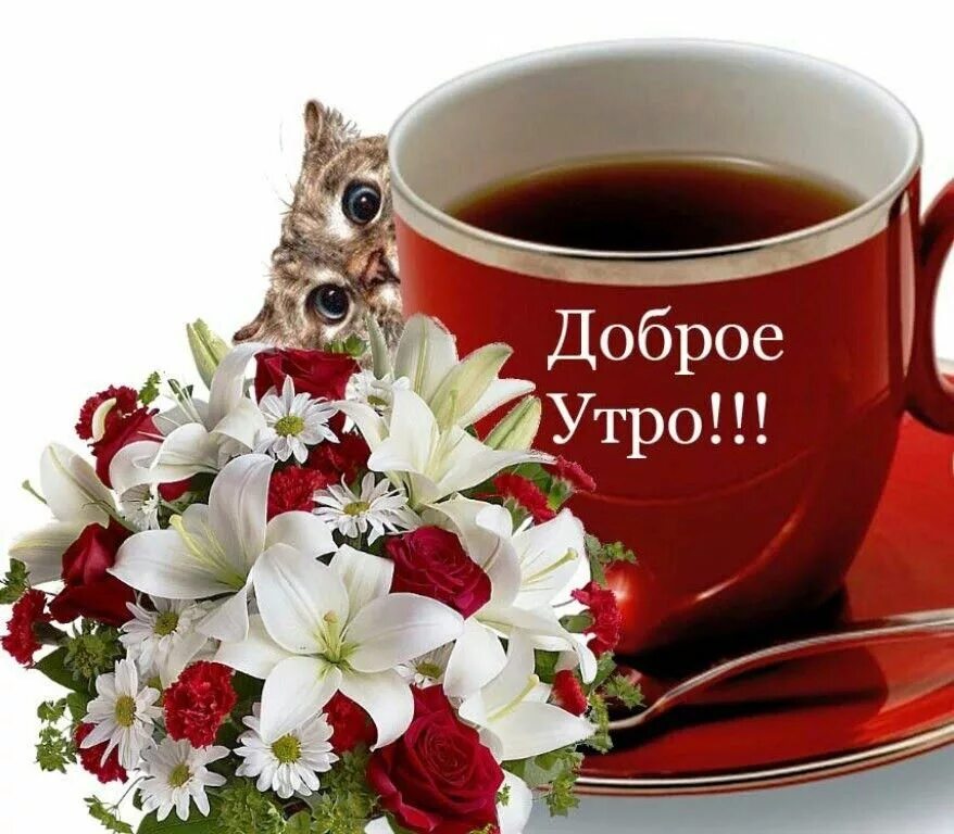 Картинки очень доброе утро хорошего дня Пин от пользователя Надежда Ломова на доске Доброе утро Доброе утро, Открытки, Ц