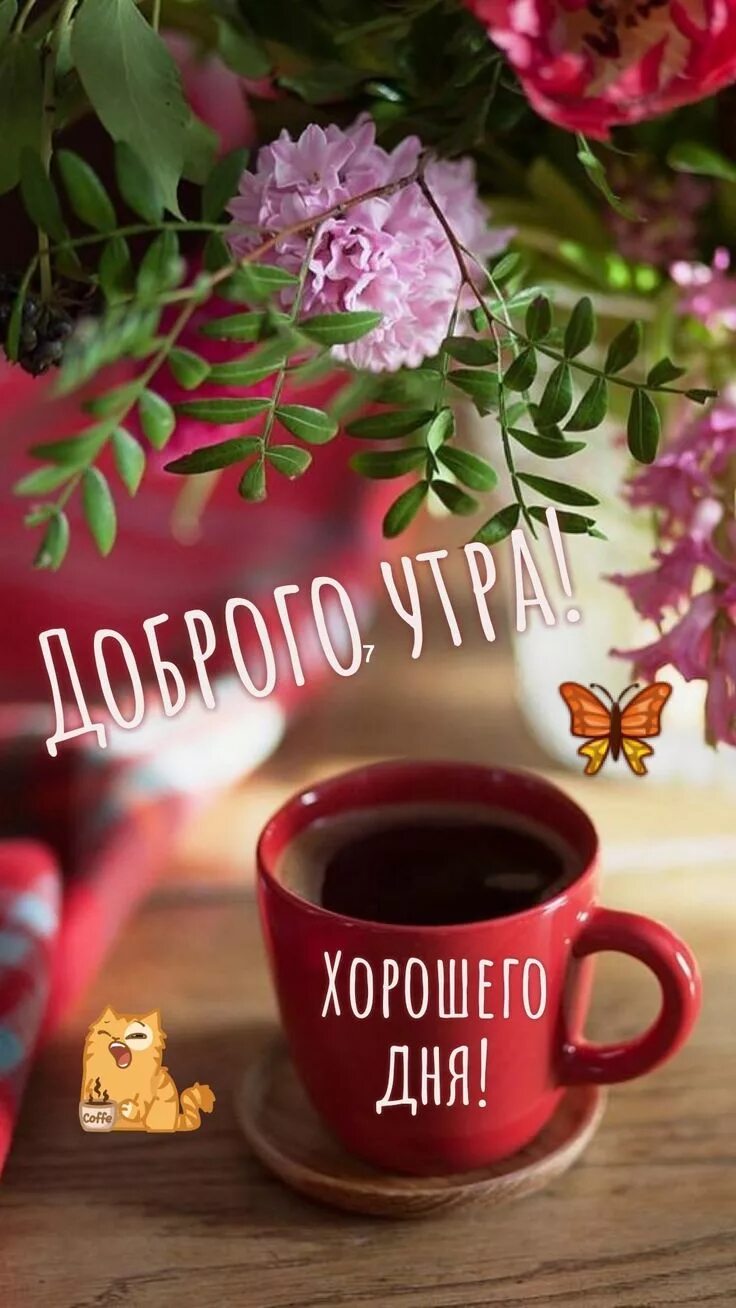 Картинки очень доброе утро хорошего дня Pin on Доброе утро