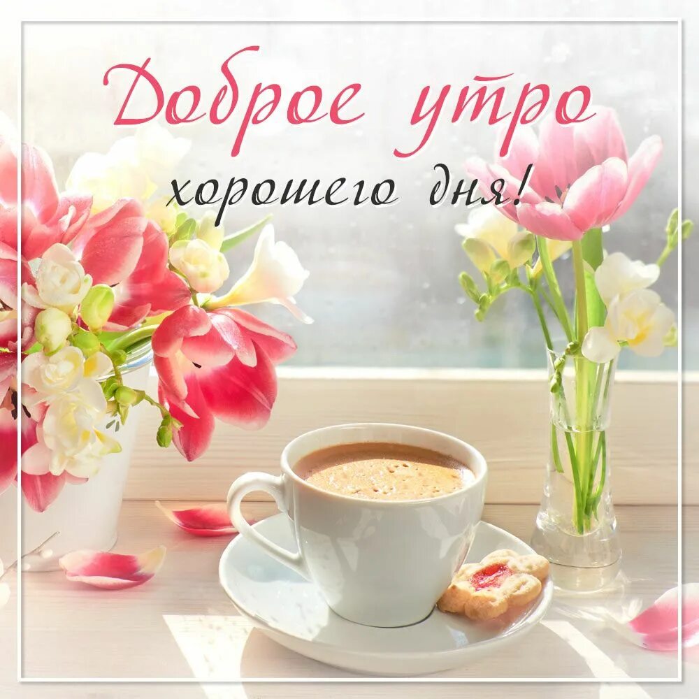 Картинки очень доброе утро хорошего дня Хорошего дня: картинки доброе утро - инстапик Доброе утро, Картинки, Счастливые 