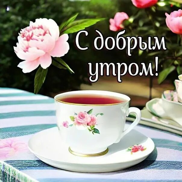 Картинки очень доброе утро хорошего дня Фотографии на стене сообщества - 80 фотографий ВКонтакте