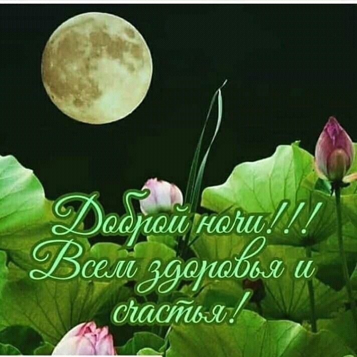 Картинки очень доброго вечера спокойной ночи ПРИВЕТСТВИЯ и ПОЖЕЛАНИЯ, открытки на каждый день. - 15 июля 2020 в 21:32