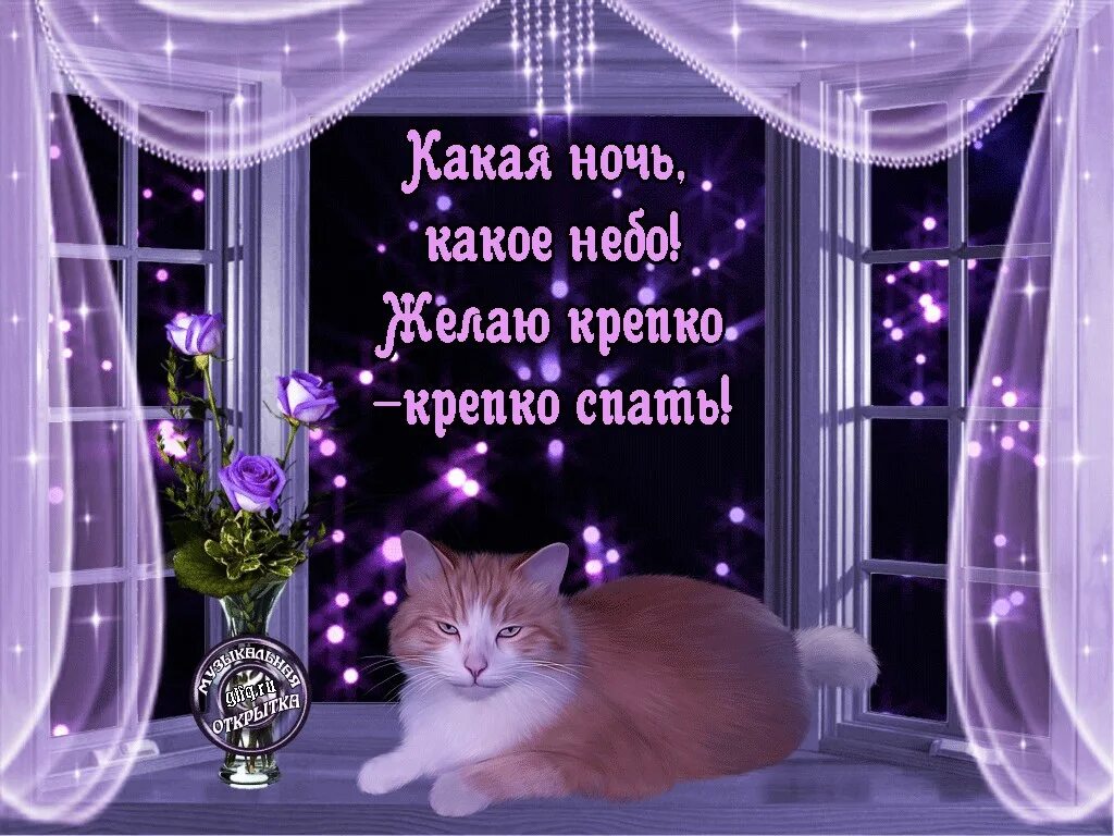 Картинки очень доброго вечера спокойной ночи Пусть наступающая ночь подарит сказочные сны и полноценный отдых от дневных забо
