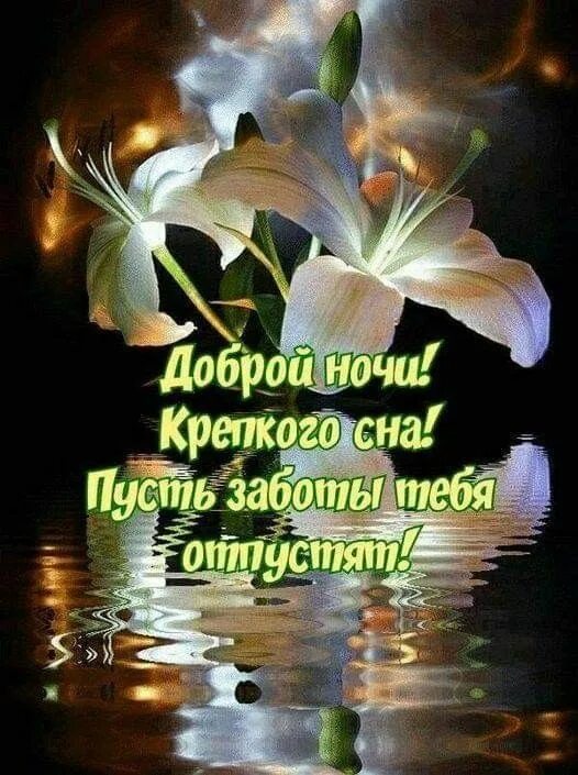 Картинки очень доброго вечера спокойной ночи Пин на доске СОН Ночь, Спокойной ночи, Цитаты про ночь