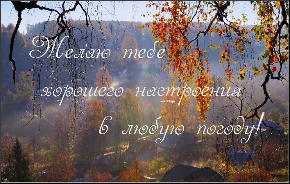 Картинки осень добра утра БЛИЗНЕЦЫ. Осенью вы сумеете добиться "долгожданного статуса" на работе. И встрет