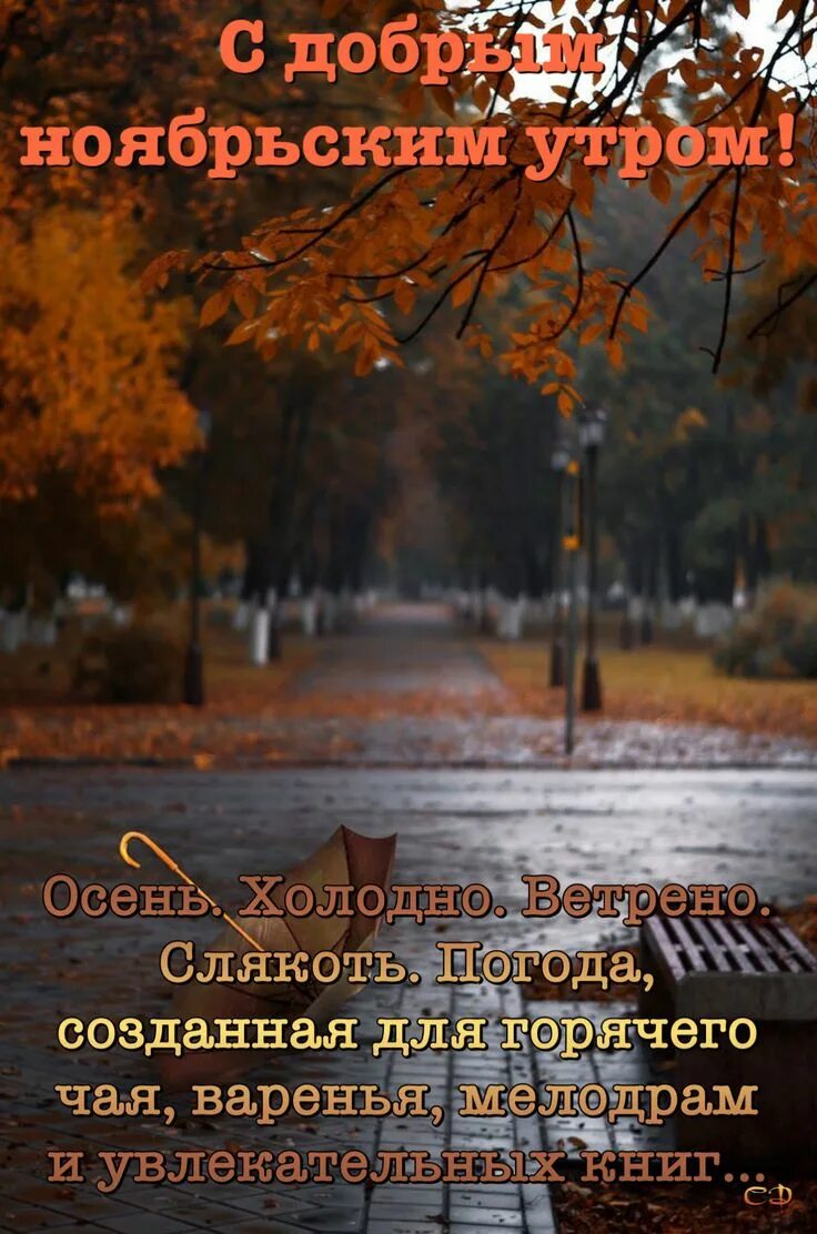 Картинки осень доброго утра с мудрыми пожеланиями Пин от пользователя Светлана на доске Ну, здравствуй, Осень... Осенние фотографи