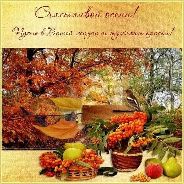 Картинки осень красивые с пожеланиями Happy autumn morning ! We wish you well. Have a great time in the morning: Favor