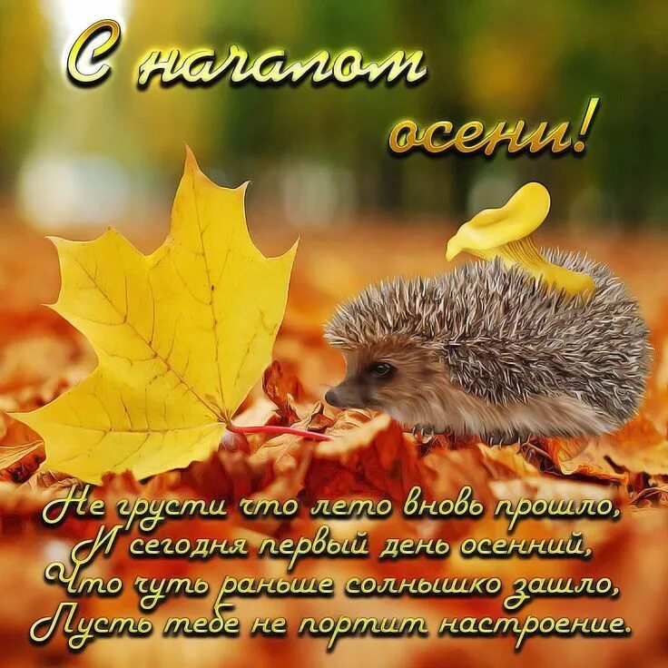 Картинки осень красивые с пожеланиями С началом осени!