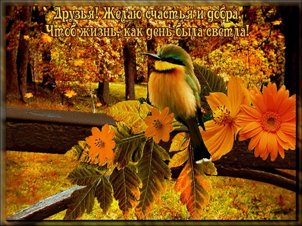 Картинки осень красивые с пожеланиями Pin on Для моих друзей Spirit animal art, Happy day gif, Happy tuesday