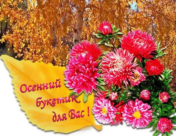 Картинки осени с букетами добрыми пожеланиями Друзьям с любовью 470 (Надежда Веденяпина) / Стихи.ру