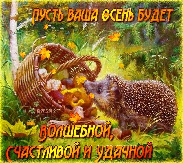 Картинки осени с добрыми пожеланиями Волшебной, счастливой и удачной осени Birthday greeting message, Good morning, T
