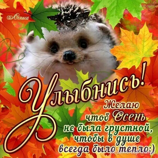 Картинки осени с добрыми пожеланиями Pin by Маргарита Решта on Пожелания Grinch, Cards, Quotes