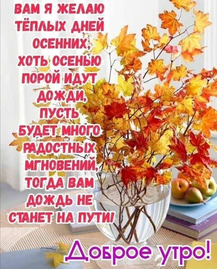 Картинки осени с добрыми пожеланиями Pin op Доброе утро