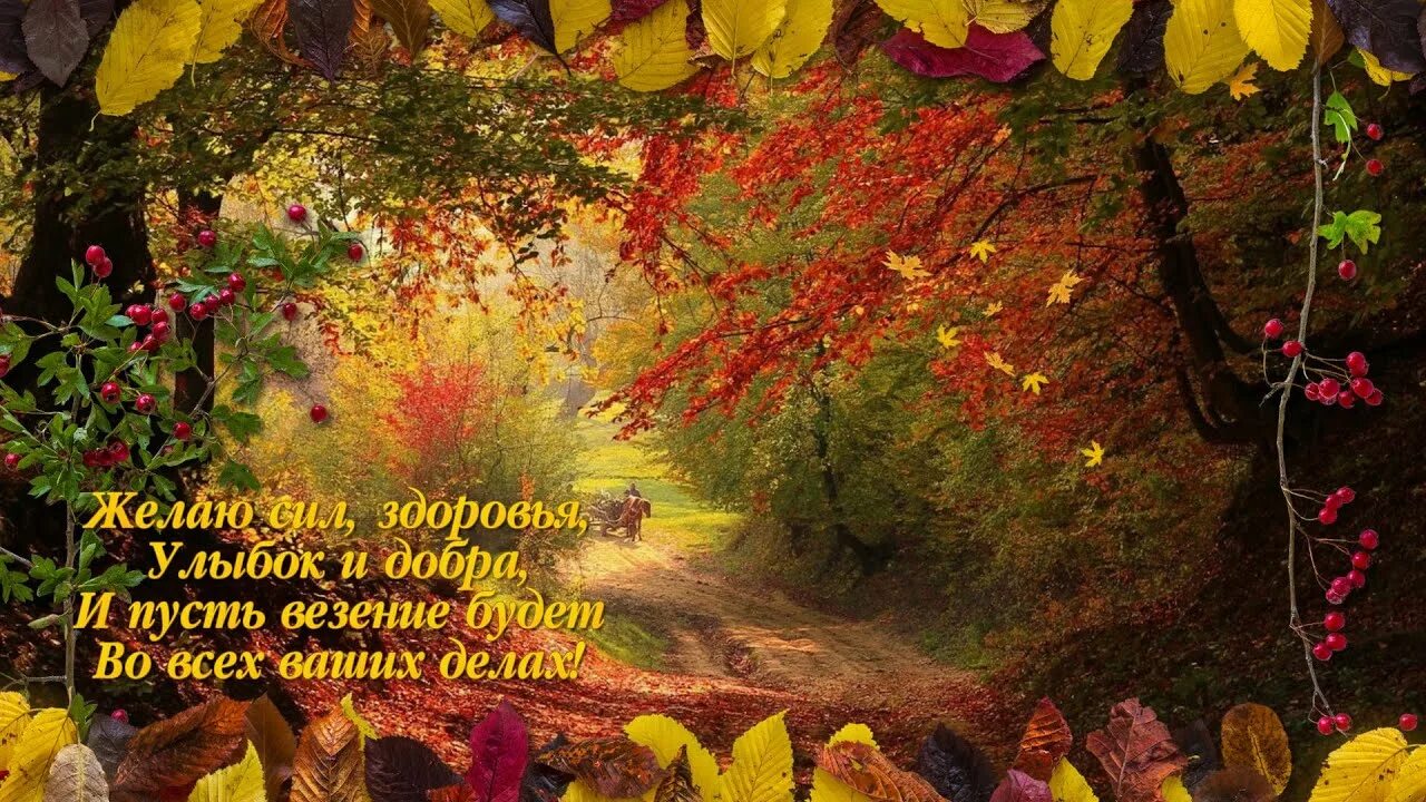 Картинки осени с добрыми пожеланиями Октябрь крадется по дорожкам... - YouTube