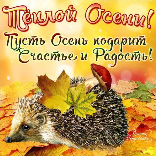 Картинки осени с добрыми пожеланиями Открытки с осенними пожеланиями в Доме Солнца - Страница 3