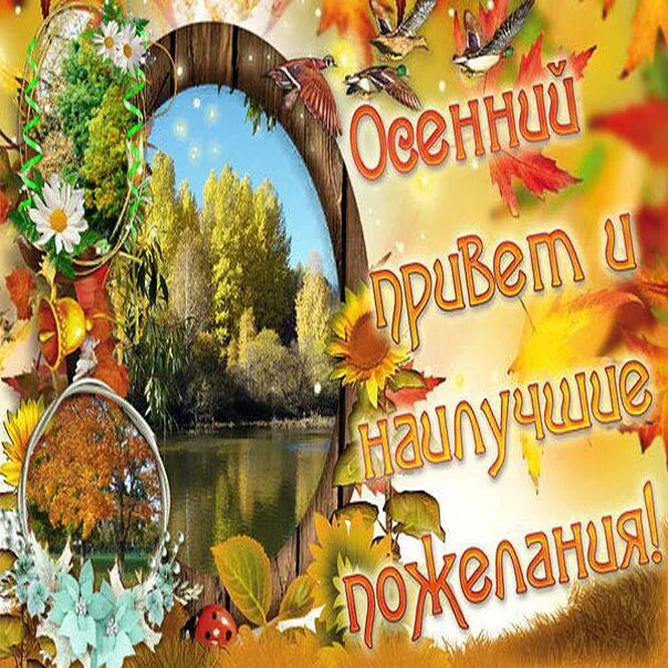 Картинки осенние с пожеланиями бесплатно добрым Я полюбила осень золотую - Всем учителям