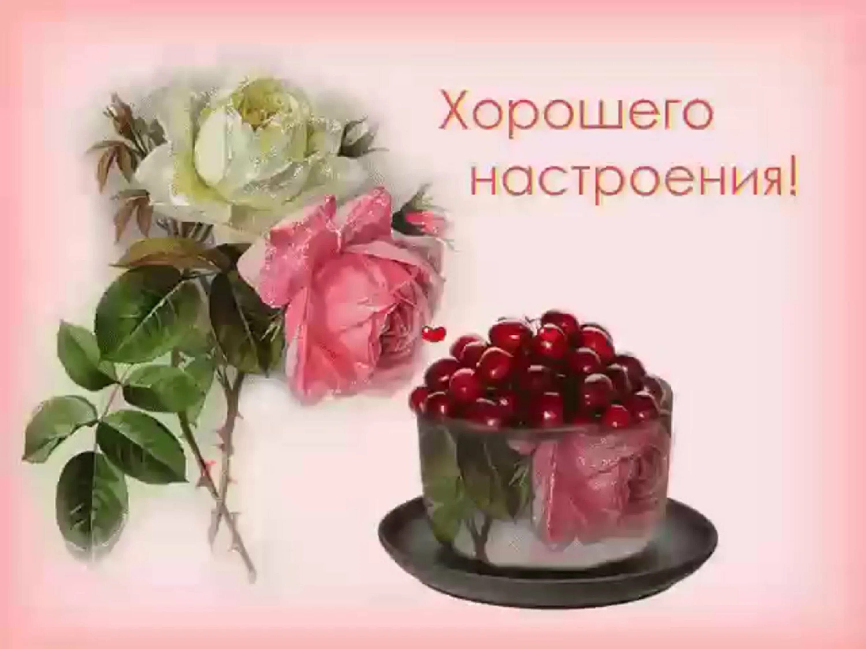 Картинки открытки добрый день хорошего настроения Прекрасного сегодня и крепкого здоровья: найдено 88 изображений