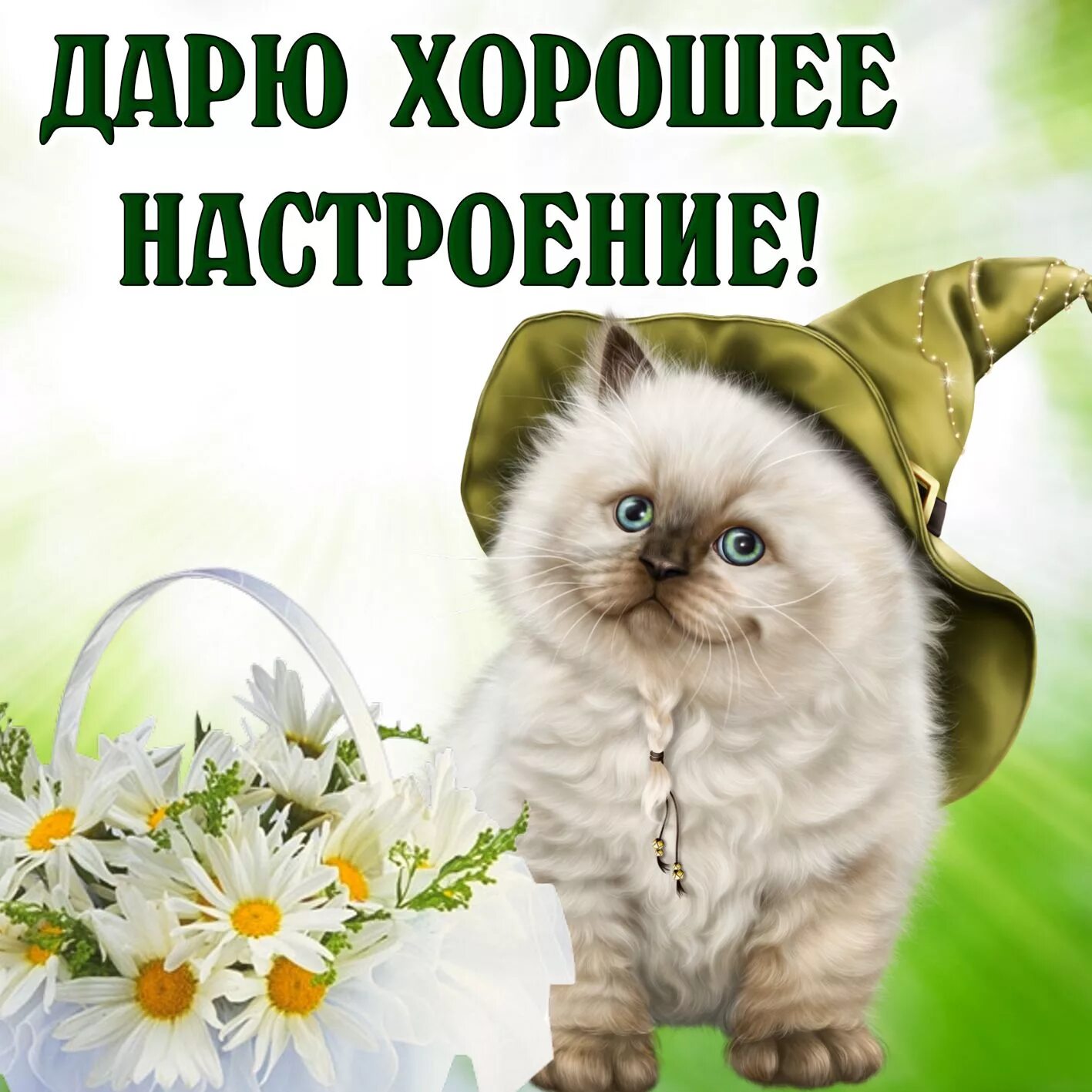 Картинки открытки добрый день хорошего настроения Картинка хорошего настроения с пушистым котиком в шляпе
