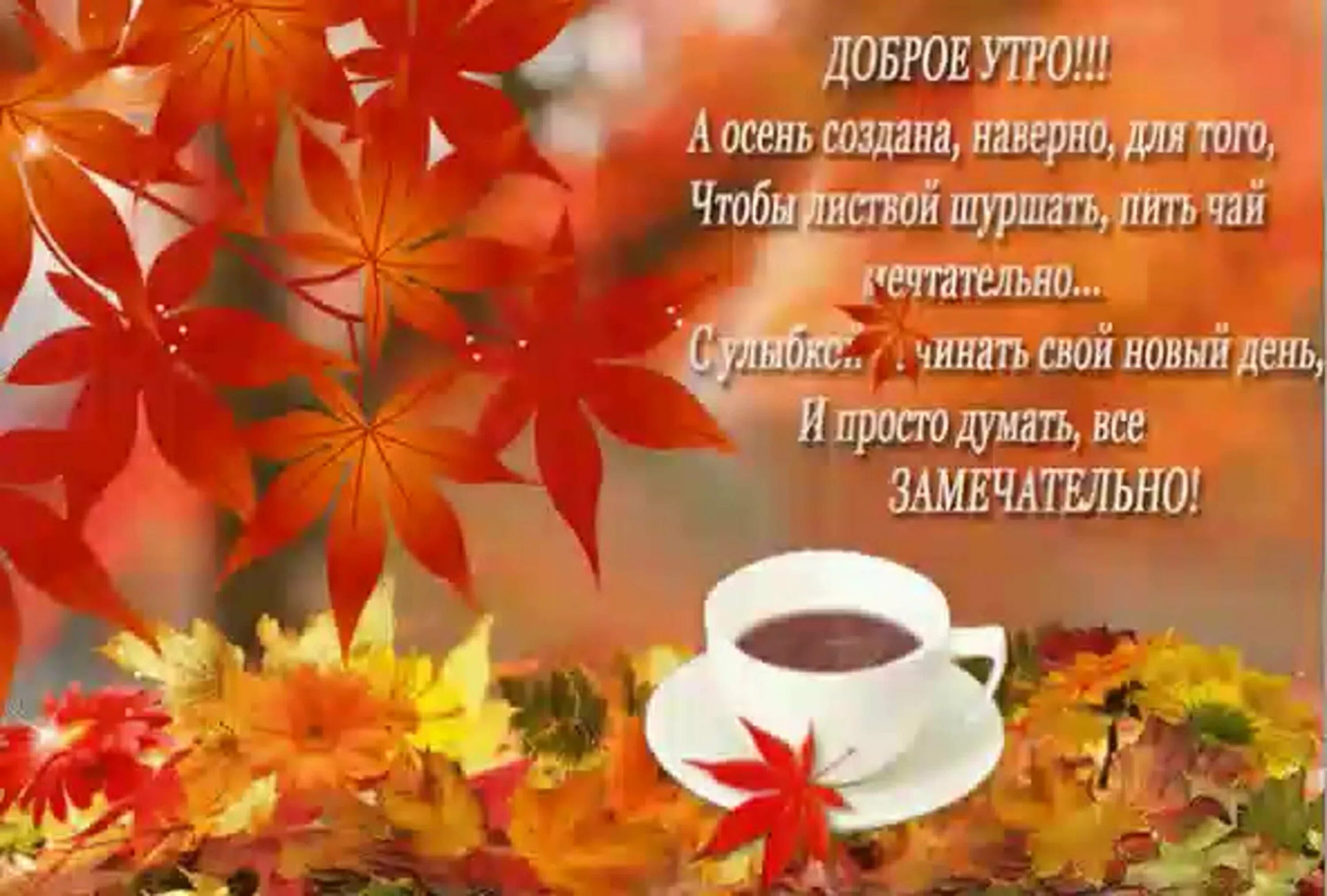 Картинки открытки видео пожелание осеннего доброго утра Пожелания доброго утра осеннего мудрыми словами: найдено 82 изображений