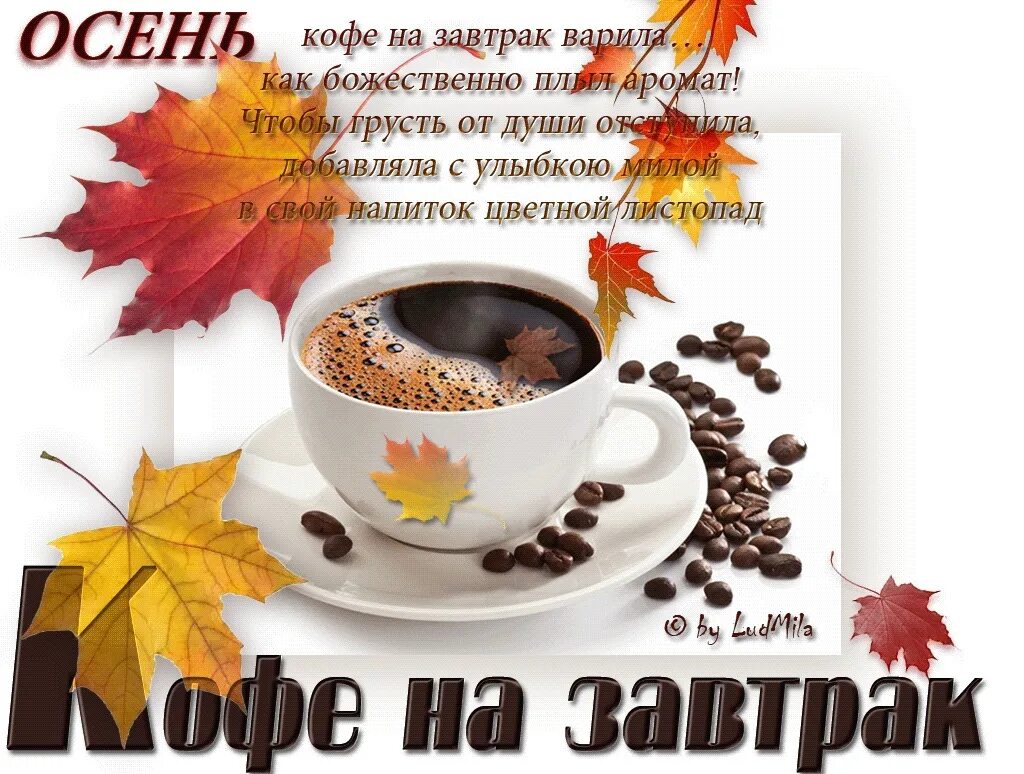 Картинки открытки видео пожелание осеннего доброго утра Доброе утро))) #утро@ruslyona_writer 2023 Мир моих героев ВКонтакте