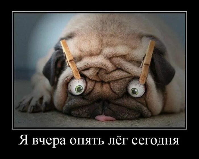 Картинки плохое утро прикольные Смешные картинки "Подъем!" (19 фото) Funny animal comics, Funny comics, Funny st