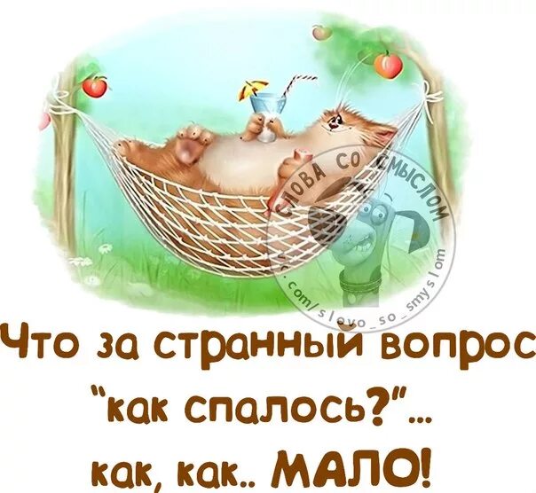 Картинки пора вставать доброе утро прикольные Сегодня утром.
