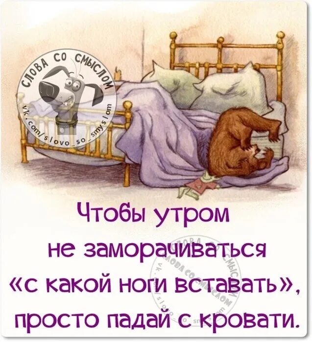 Картинки пора вставать доброе утро прикольные Пора вставать стихи - найдено 90 картинок