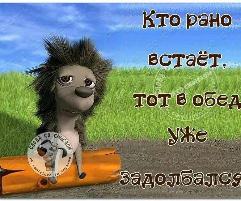 Картинки пора вставать доброе утро прикольные Ответы Mail.ru: А почему вы стали летом раньше просыпаться? Вы же сейчас в отпус