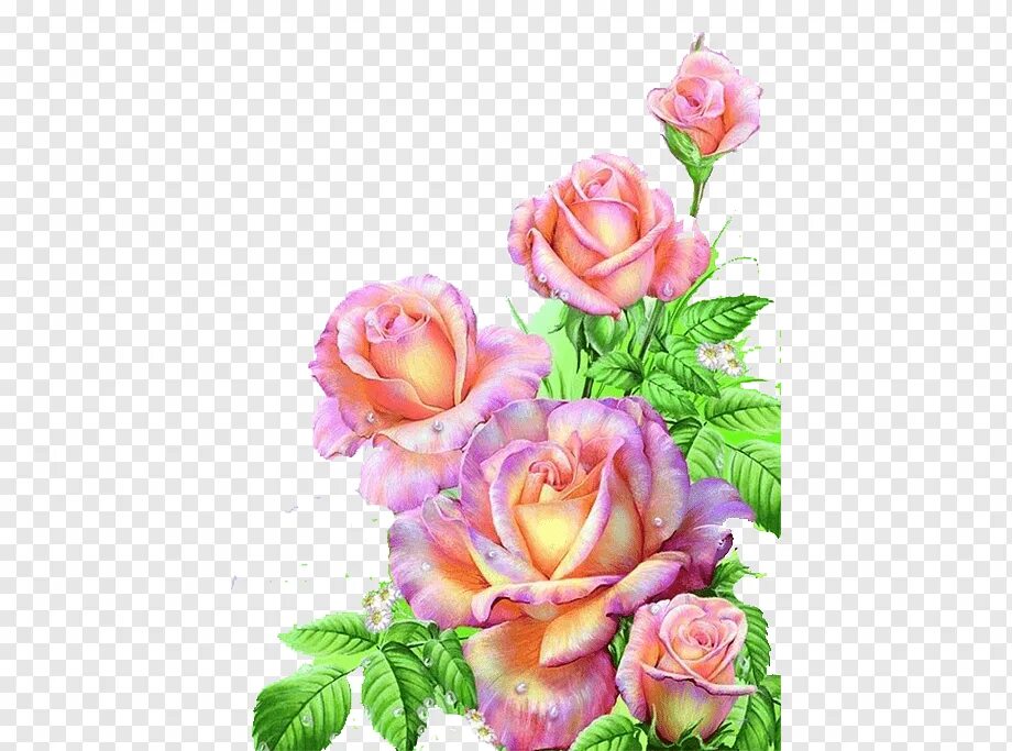 Картинки поздравления маме с днем рождения дочери Painting Flower Floral design Art, Pink rose, watercolor Painting, flower Arrang