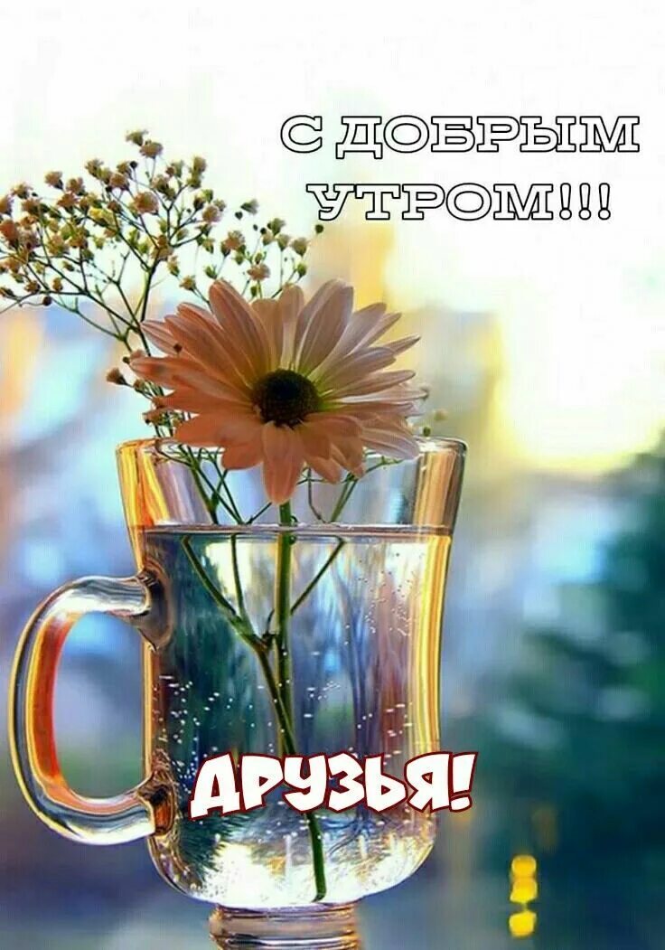 Картинки пожелания доброе утро с водой Pin su Доброе утро