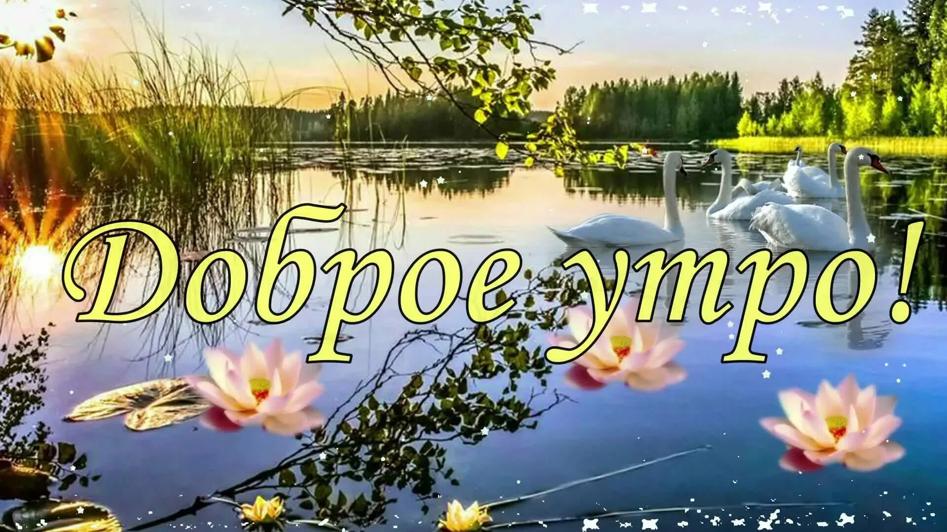Картинки пожелания доброе утро с водой Доброе утро! 100 картинок с природой