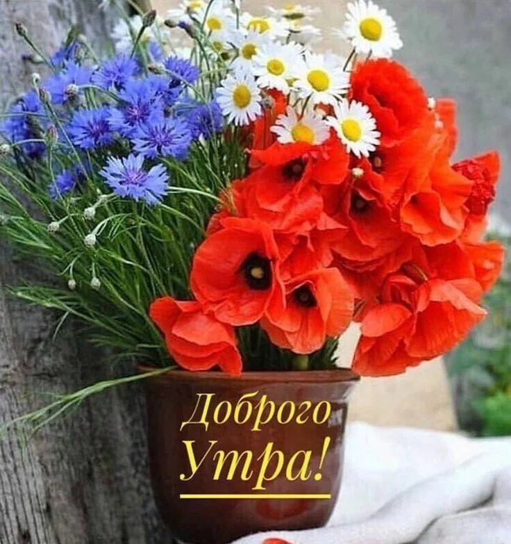 Картинки пожелания хорошего дня с цветами Пин от пользователя Юлия Гостренко на доске Добрий ранок Осенние цветочные компо