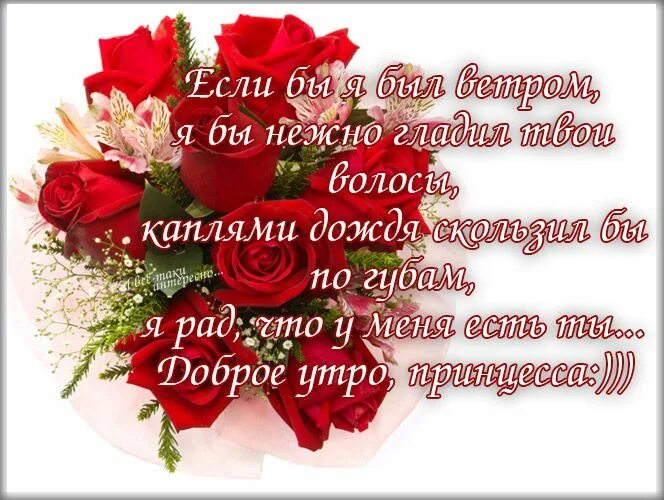 Картинки пожеланиями с добрым утром любимой женщине Картинки для любимой "Я люблю тебя" (36 фото) ⭐ Мемы на любой случай Картинки, О