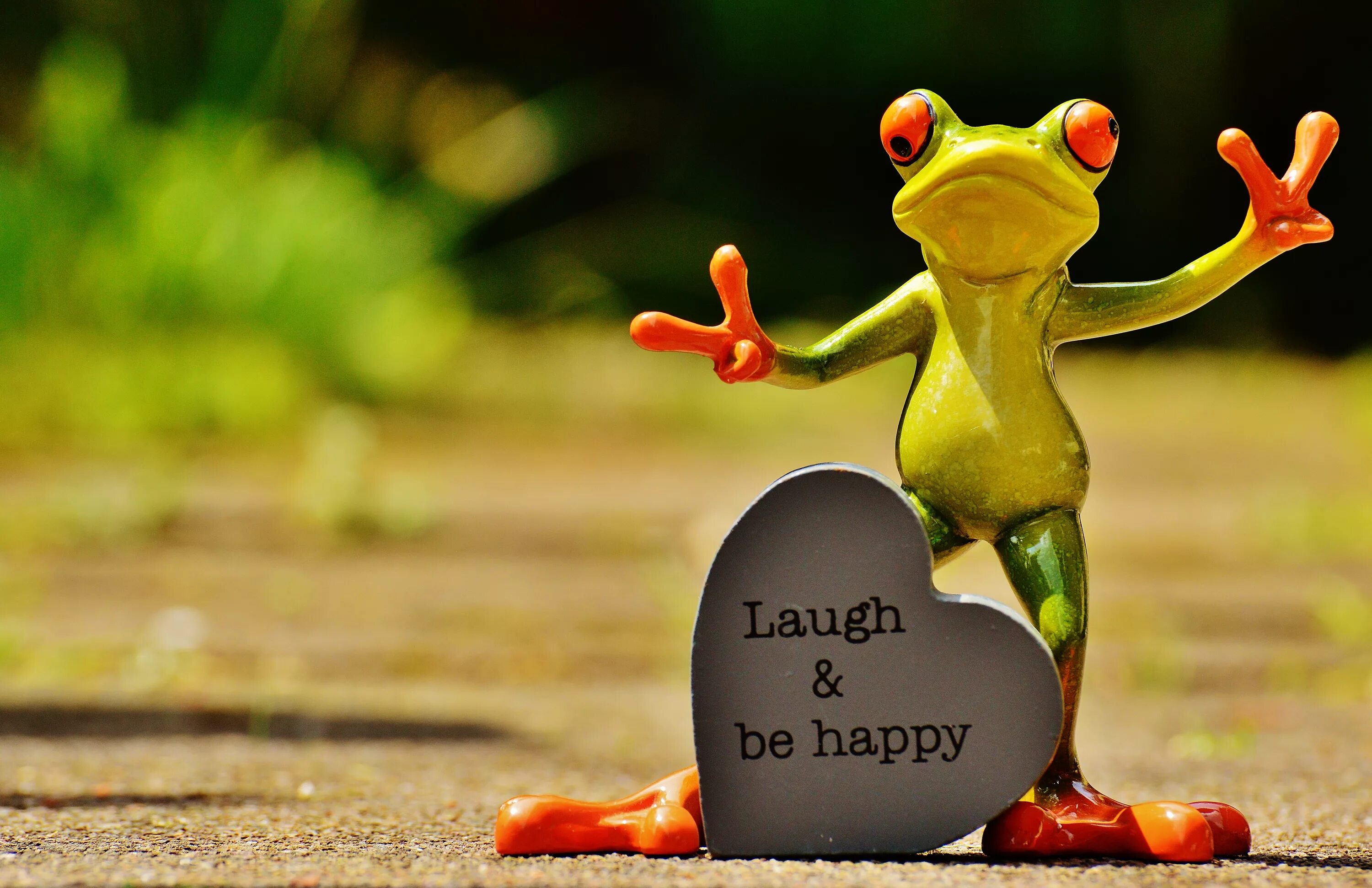 Картинки позитивные красивые надписи Free Images : live, frog, amphibian, smile, laugh, cheerful, happy, funny, joy, 