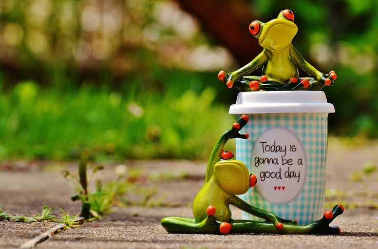 Картинки позитивные необычные прикольные новые Beautiful Day, Joy, Frog, Coffee, Cup, Happy, Happiness Beautiful day, Cat photo