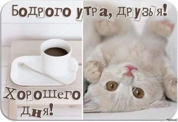 Картинки прикольное утро для друга A beautiful morning and a pleasant morning. Clear sky and wind by ! Happiness, g