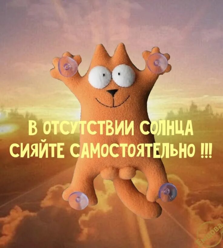 Картинки прикольное утро для друга Котики Смешной юмор, Вдохновляющие цитаты, Смешно