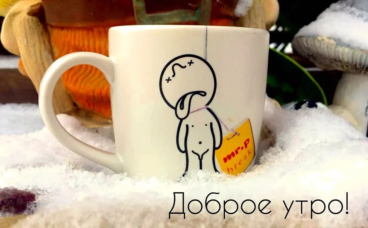 Картинки прикольное утро для друга Бодрого утра зима: найдено 90 изображений
