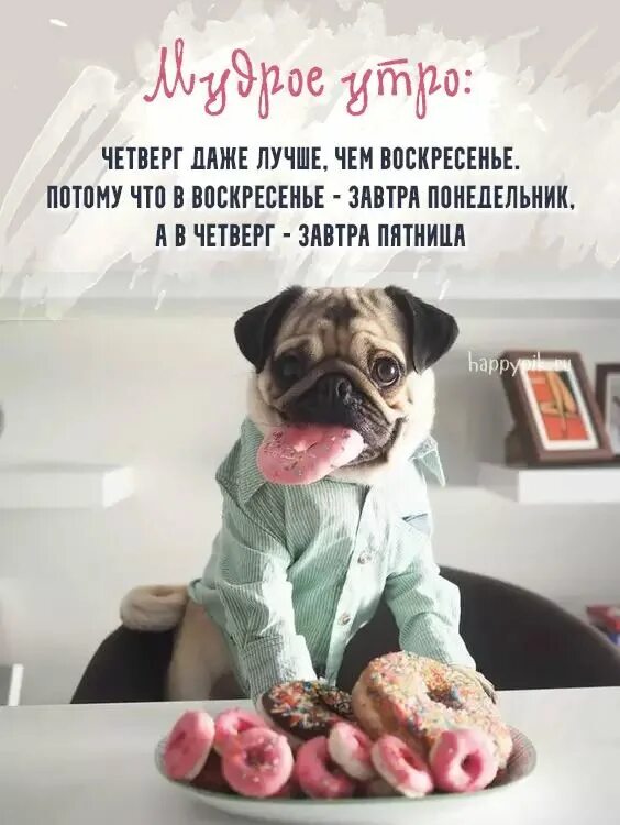 Картинки прикольное утро для друга Картинки с надписями "Доброе утро" (1500+ шт.) Четверг, Доброе утро, Романтическ