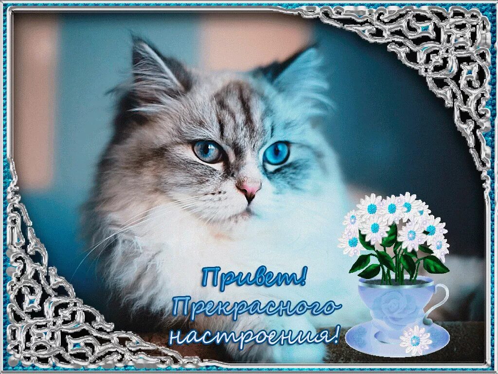 Картинки привет хорошего дня с надписью Пожелать доброго чудесного дня: найдено 80 изображений
