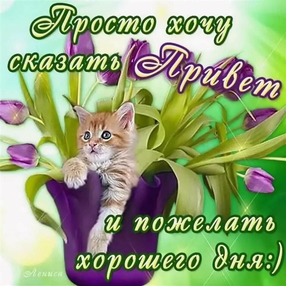 Картинки привет хорошего дня с надписью Виртуальная открытка с пожеланиями Хорошего Дня