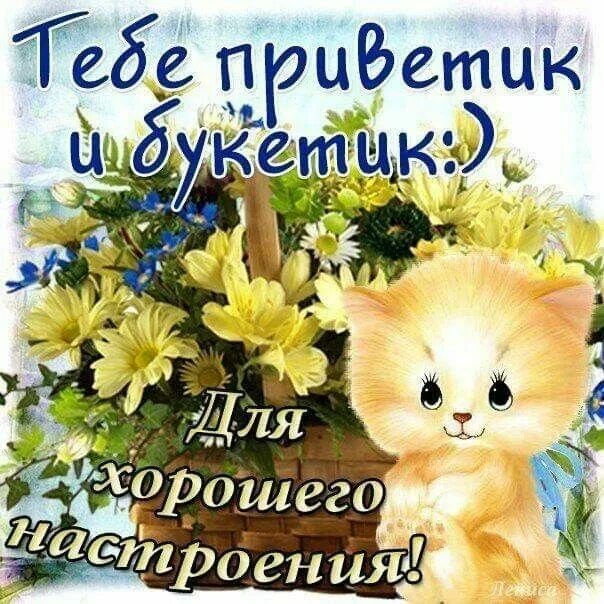Картинки привет хорошего дня с надписью Pin by \u0415\u043A\u0430\u0442\u0435 on Доброе утро Teddy bear, Teddy, Animals