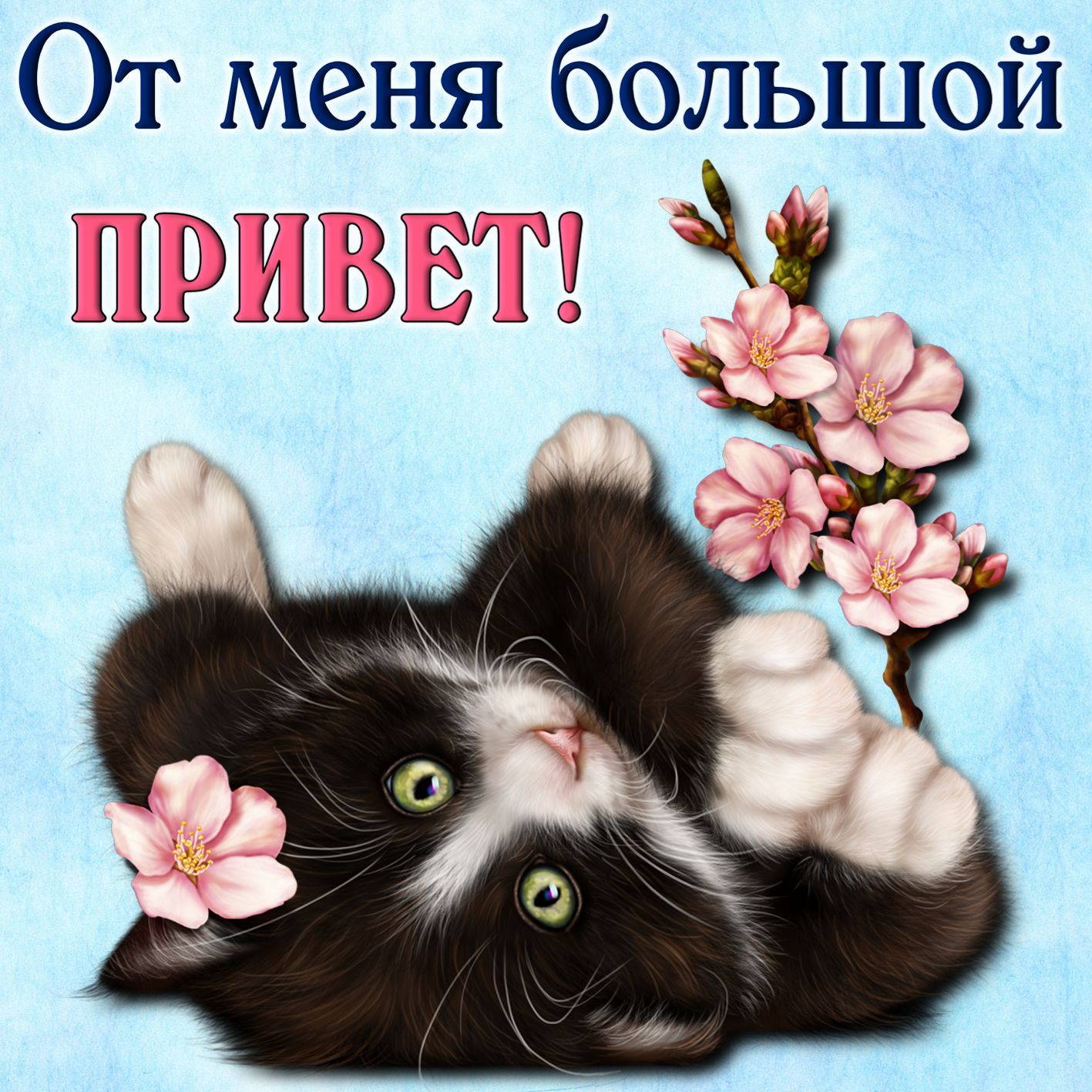 Картинки привет хорошего дня с надписью Открытка - забавный котик шлет привет